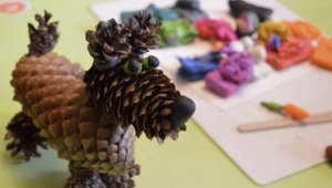 Crafts from fir cones