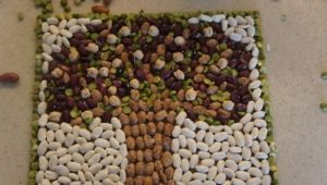 Bean crafts