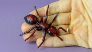 plasticine에서 개미를 조각하는 방법?