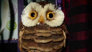 How to make an owl from cones?