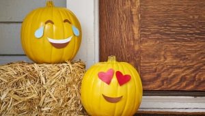 Variety of pumpkin crafts