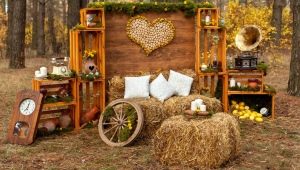 All about photo zones