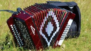 All about accordion