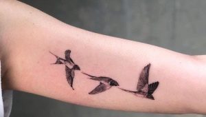 What do swallow tattoos mean and what are they like?