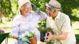 Hobby for retirees