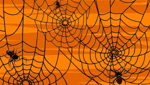 How and from what to make a spider and a web for Halloween?