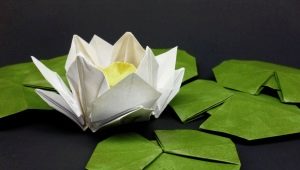 Πώς να φτιάξετε origami με τη μορφή νούφαρου;