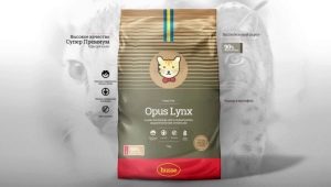 What are Husse foods?