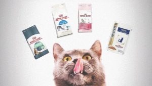 ROYAL CANIN cat food