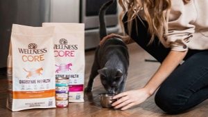 Wellness CORE cat food