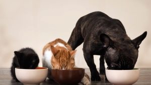 Tafi food for dogs and cats