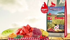 Genesis Pure Canada food for dogs and cats