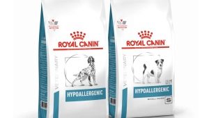 ROYAL CANIN for medium-sized dogs