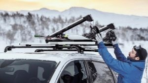 Car ski carrier
