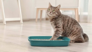 Cat litter box CAT STEP
