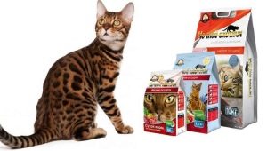 Description of food for cats and cats Night Hunter