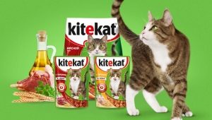 Description of Kitekat feed