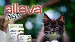 Features of food for cats and cats Alleva