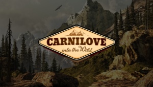 Features of Carnilove cat and cat food