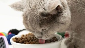Features of SUMMIT cat food