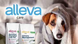 Features of Alleva dog food