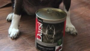 Features of Darsi dog food
