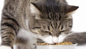 Features of food for sterilized cats GRANDORF