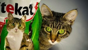 Features of Kitekat dry food
