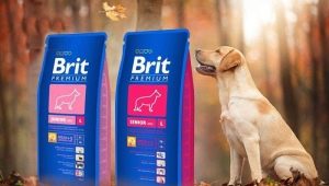 Brit variety of dry dog ​​food