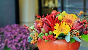 Making bouquets in pumpkins