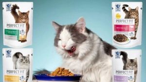Dry food for cats PERFECT FIT