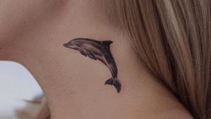 Dolphin Tattoo For Girls