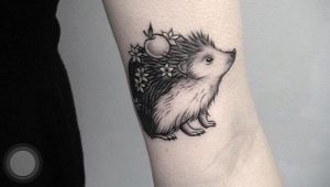 Hedgehog tattoo