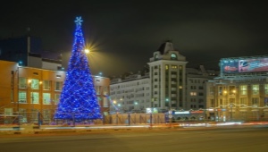Options for decorating a street tree for the New Year