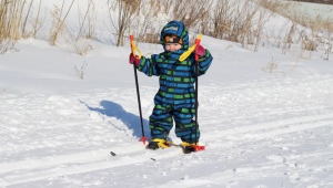 All about children's ski poles