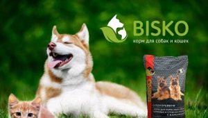 All about Bisko food