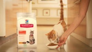 All About Hill's Cat & Cat Food