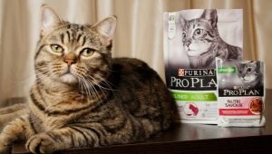 All about food for cats and cats Purina Pro Plan