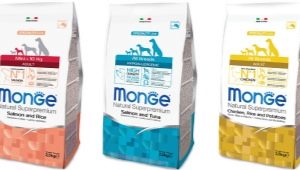 All About Monge Dog Food