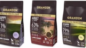 All about Grandin feed