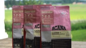 All About Holistic Dog Food