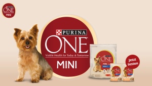 All about PURINA ONE