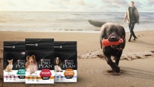 All About Purina Pro Plan Dog Food
