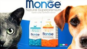 All about Poop Monge