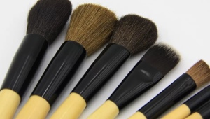 All About Professional Makeup Brushes