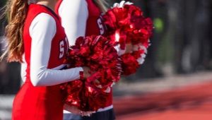 Cheerleading pom poms
