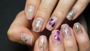 All about manicure with dried flowers