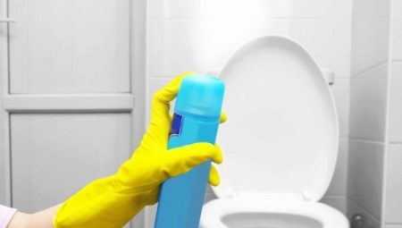 Toilet fresheners: what are there and how to make yourself?