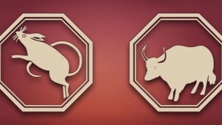 Rat-Taurus man traits