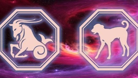 Aries-Dog: characteristics and compatibility